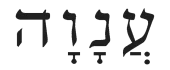 לוגו ענוהללא רקע-1